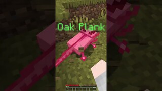 Minecraft, Tapi Aku Bisa Craft Axolotl Dari Block