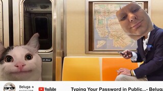 [Beluga和他的小伙伴]给密码加上表情包会怎么样