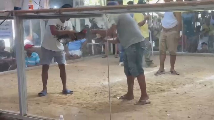 2ndfight for champion         #guindolmanbohol#2wins