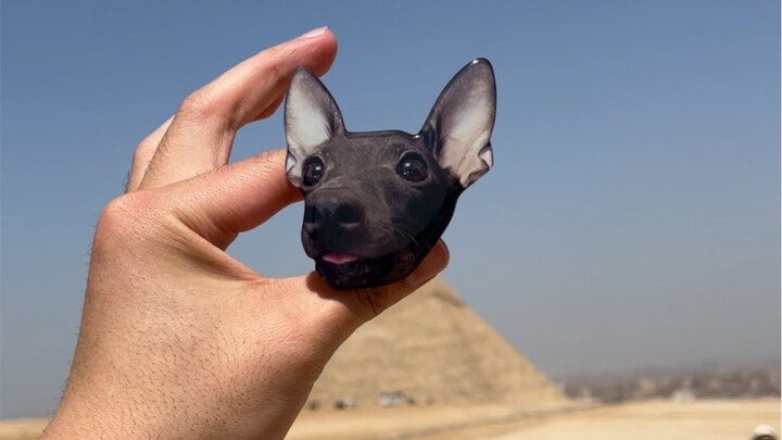 I suspect I've arrived in the capital of car seats...