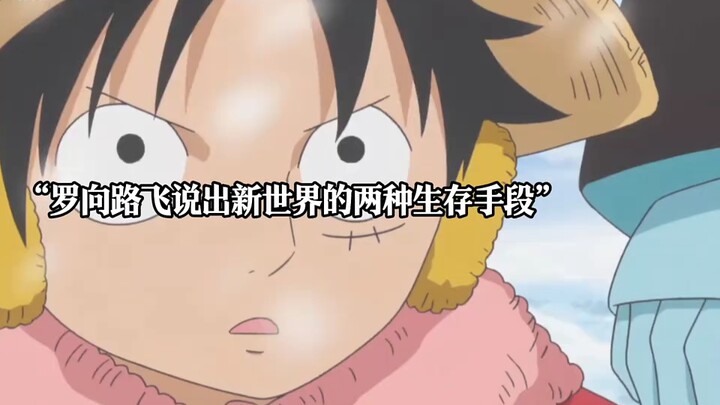 Every time I see this Franky, I can’t help but laugh—his eyes are just so pure and innocent 😁