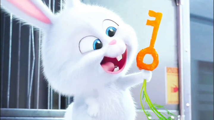 Boss Rabbit just took on two new underlings～～