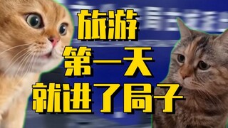 【猫meme】关于旅游第一天就进了局子这件事