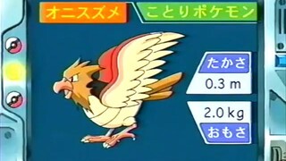 オーキド博士のポケモン講座(オニスズメ)