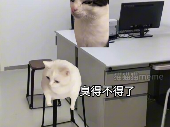 Khi bạn nghĩ tay nghề bác sĩ này dở tệ