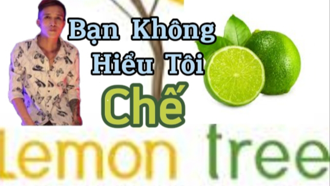 Bạn Không Hiểu Tôi Chế Lemon Tree