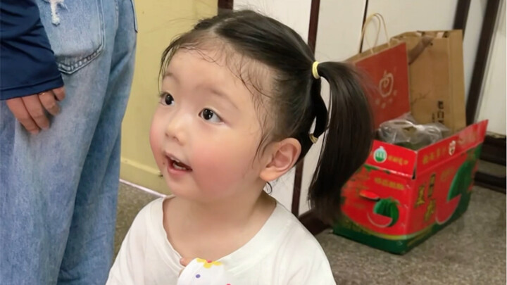 Nói cho tôi biết, trên cây ở thành phố của các bạn có gì nào...
