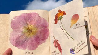 Sưu tầm thực vật giống như nhật ký của Trái Đất vậy