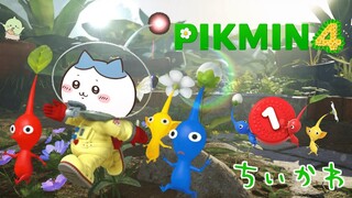 【実況】ちいかわとハチワレにピクミン４実況させてみた【ちいかわMAD】