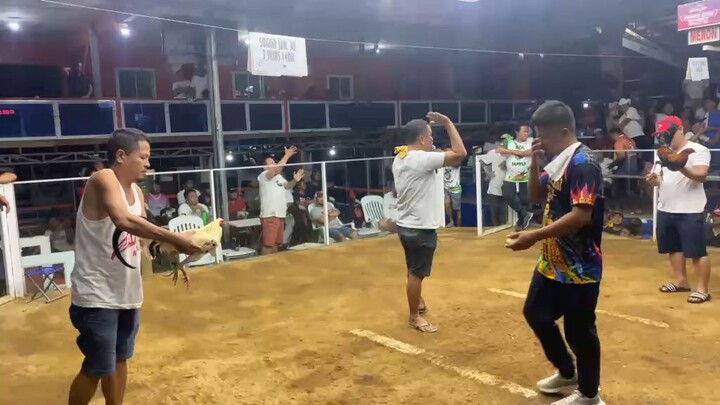 Sanino White J-ES GF