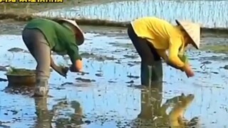 รู้ว่าปัญหาการว่างงานรุนแรง แต่ก็ไม่คิดว่าจะรุนแรงขนาดนี้เลย #อัตราการว่างงาน