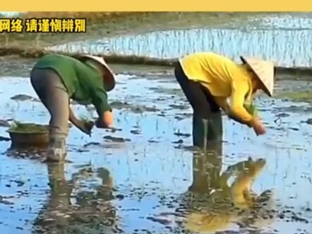 知道失业严峻 但也没想到这么严峻啊 #失业率