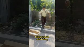 KASIHAN KUCING INI KETABRAAK DI JALAN