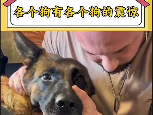 Before bone-setting: Hehe. After bone-setting: No more hehe.