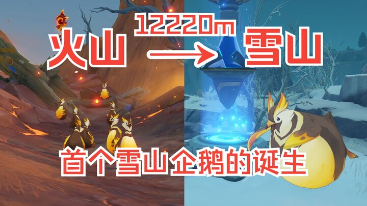 ใช้เวลา 7 ชั่วโมง ผมสร้าง “เพนกวิน” ตัวแรกของตี้ว่าถี่ขึ้นมาแล้ว!