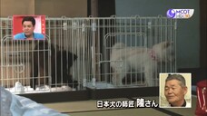 Shimura Zoo สวนสัตว์มหาสนุก #6 (27/06/2563)