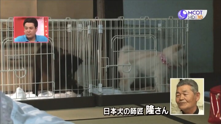 Shimura Zoo สวนสัตว์มหาสนุก #6 (27/06/2563)