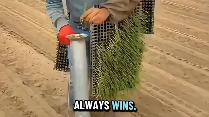 Effective Planting Technique