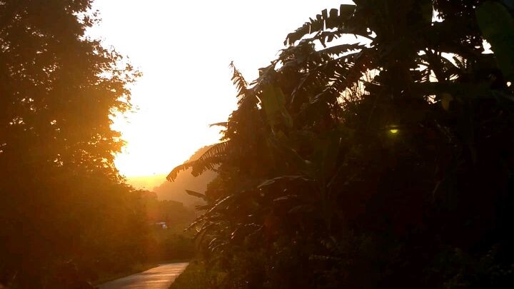 just enjoy the sunrise
