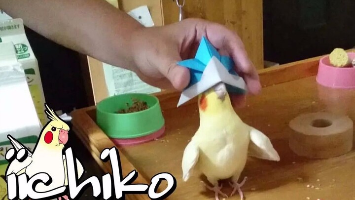 I’m already 25, yet I’m still celebrating Children’s Day—do you think that’s appropriate?