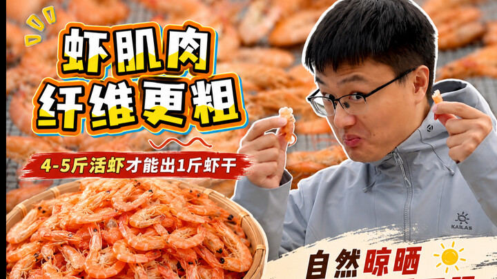 Udang kering yang dibuat dari udang segar yang baru ditangkap! Pernah lihat? Udang hidup langsung di