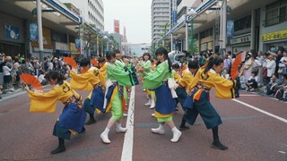Kembang Api Tokyo Universitas Waseda | Festival Shonan Yosakoi