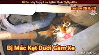 Giải Cứu Chú Mèo Dễ Thương Bị Kẹt Dưới Gầm Xe Cực Nguy Hiểm || Review Con Người Và Cuộc Sống