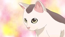 gokushufudou EPS 1 (sub indo)