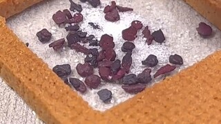 مطبخ صغير! تحدى أصغر عبوة توابل في التاريخ ~ [نسخة يدوية الصنع]