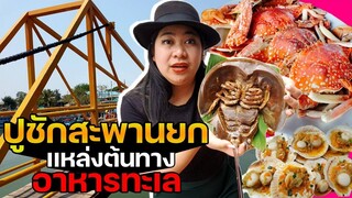 แพรวบ้าห้าร้อย EP.130 #ปูชักสะพานยก แหล่งต้นทางรวมอาหารทะเล🦀ราคาถูกที่สดกันวันต่อวัน😲