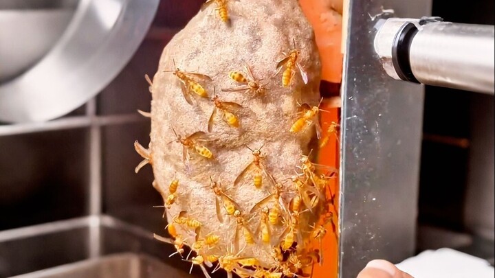 Dia bilang lebah-lebah ini tidak menyengat!