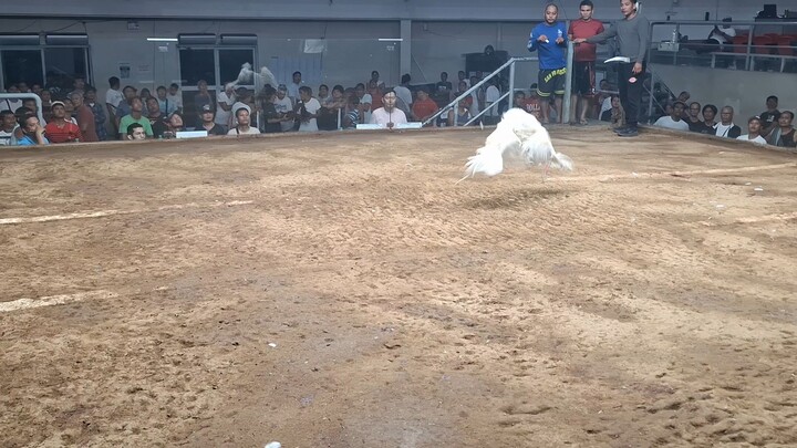 @coliseo de manila 2nd fight 2hits champ.