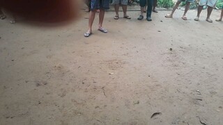 Ganda ng Cutting tumama kahit baguhan pa sa pagtatari