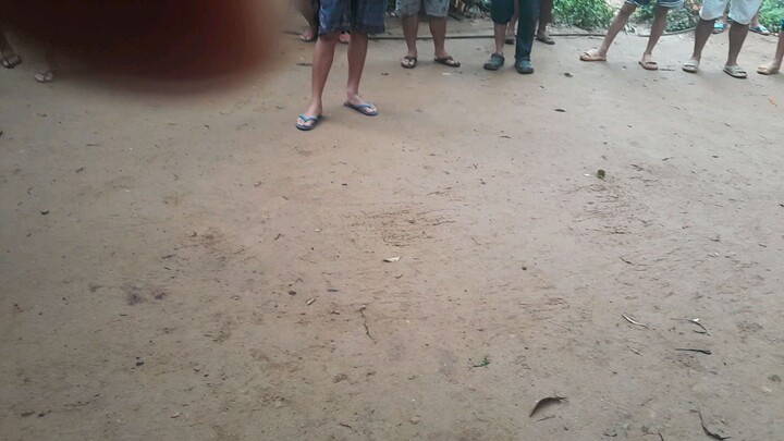 Ganda ng Cutting tumama kahit baguhan pa sa pagtatari