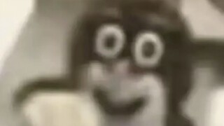 鼹拳2.0！！！
