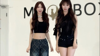 Two little cats team up for an exciting collaboration!