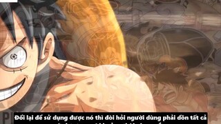 Cách Để Thức Tỉnh Trái Ác Quỷ_Tiềm Năng Sức Mạnh Giúp Luffy Đánh Bại Kaido _ 2