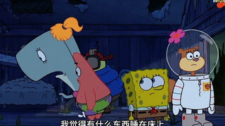 珊瑚营怪客