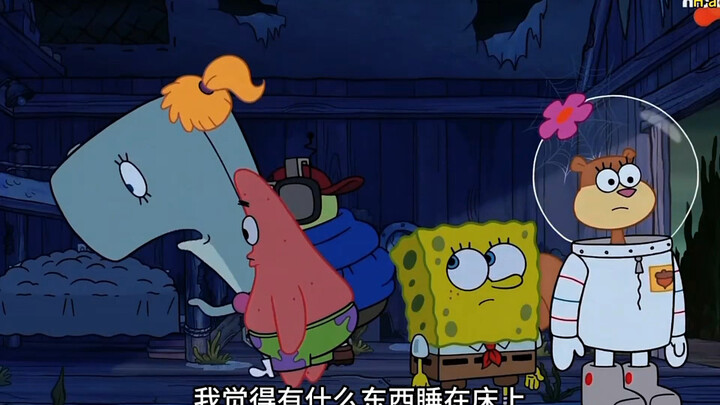 珊瑚营怪客
