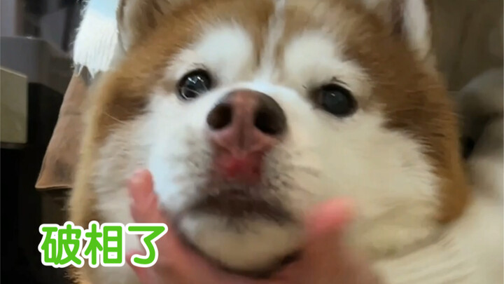 ช่วงปีใหม่ดันหกล้มหน้าช้ำตาเขียว…ปากเจ็บมากก็ไม่ใช่ แต่ก็ไม่ได้รู้สึกเจ็บเท่าไหร่เหมือนกัน…