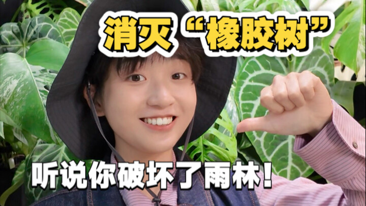 Panggil orang! “Babat” semua pohon karet ini!