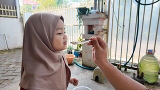 Halo ini video pertama di channel vanilla