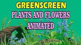 beautiful plants and flowers animated chrome key