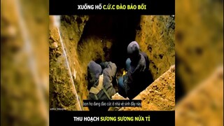 Đào hố cức kiếm sương sương nửa tỷ | LT Review