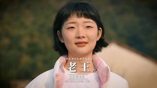 小时候的语文课文是长大后的人生 |第十二集