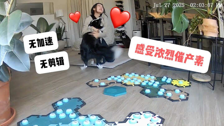 Đây là một video khiến oxytocin tràn ngập màn hình!