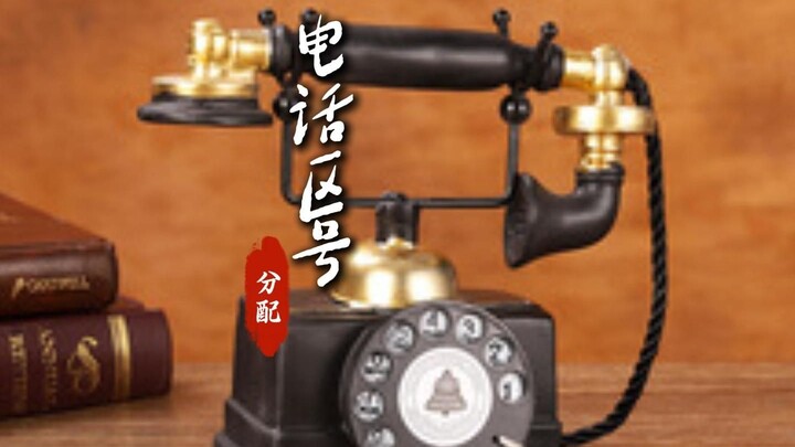 Have you ever wondered what a country’s telephone area code actually stands for?