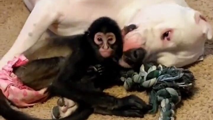 Cherish the people around you who treat you well—once you let them go, you might never get another c