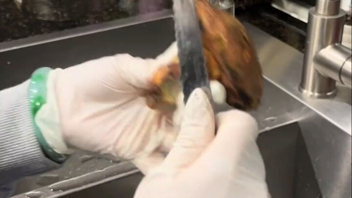 Nhặt được nấm “Kiến Thủ Thanh” trước sân, sốc cả trăm năm! Nhanh tay bắc chảo phi dầu, chỉ ba cái nấ