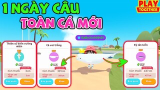 Play Together | 1 Ngày Đi Câu Toàn Cá Hiếm Mới | Cá Voi Trắng, Kỳ Lân Biển, Thiên Sứ Biển.....